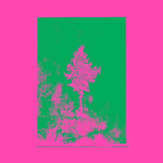 Field Notes for Climate Observers