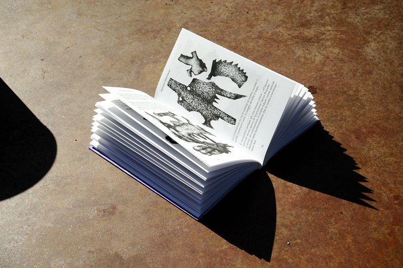 L’era dell’abbondanza