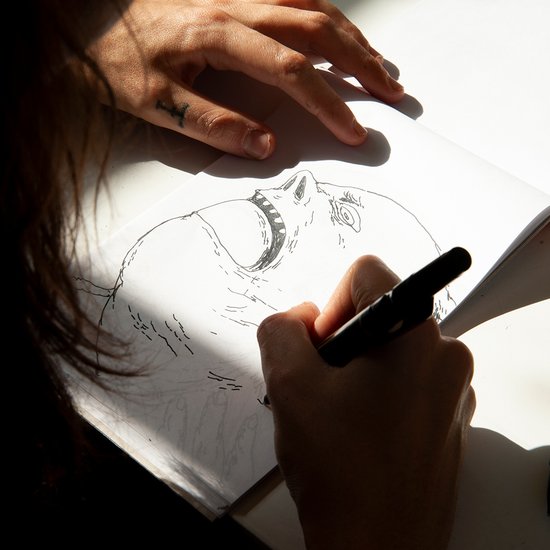 Workshop di Animazione